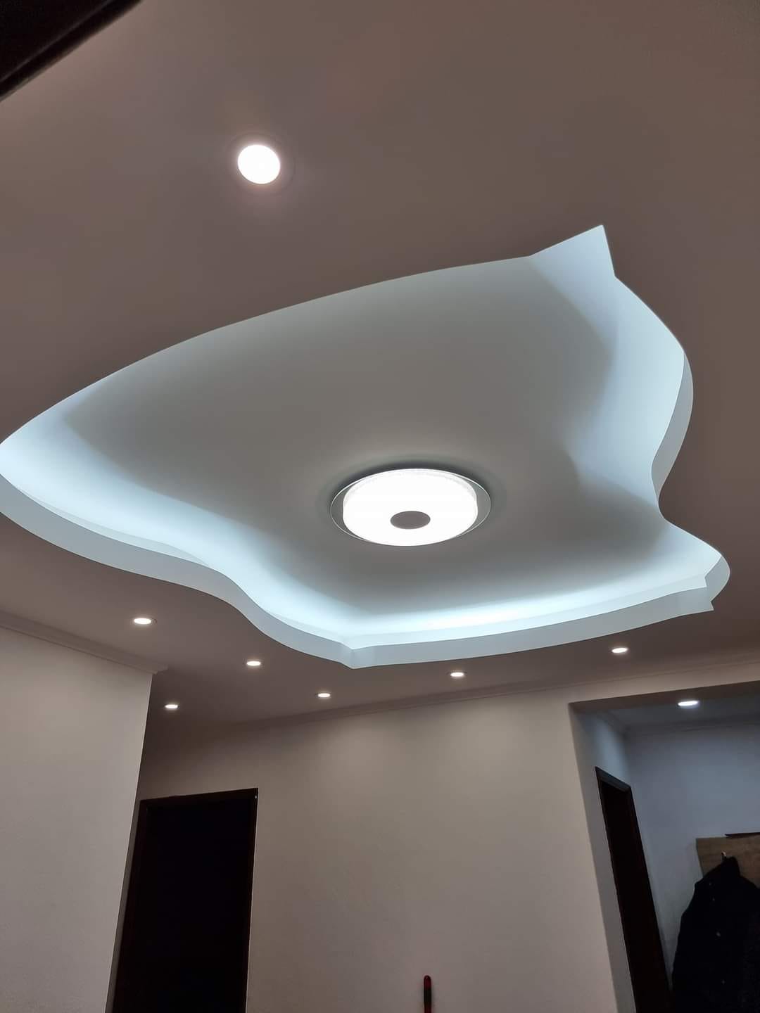 Teto em pladur com forma orgânica e iluminação embutida
